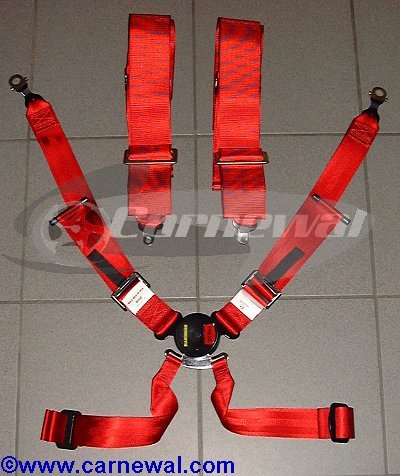 6 Point Harness